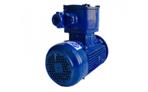 TECO Exd IICT4 Explosion-Proof Motor TECO Exd IICT4 Explosion-Proof Motor