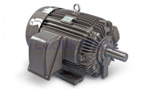 TECO NEMA General  Purpose Motors