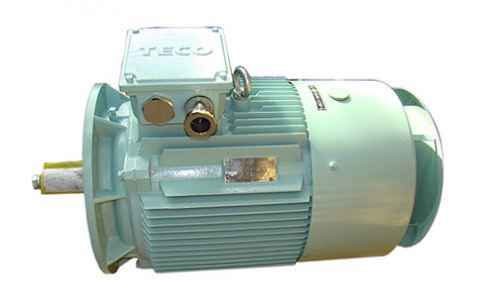 Motores de la serie TECO Marine